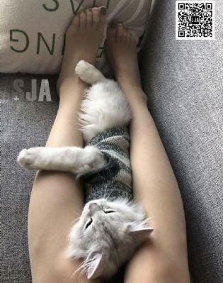 看国产到91_剧情片HD在线观看