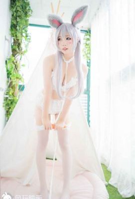 战狼第4集免费播放在线观看_1080P超清在线观看